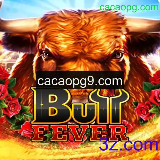 BullFever: Uma Imersão no Jogo que Estimula a Adrenalina