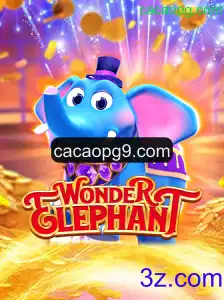 Explorando o Mundo de WonderElephant: Um Guia Completo